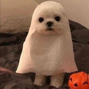 Beauty not for sale ❤️